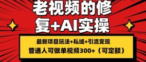 修复老视频的玩法，搬砖+引流的变现(可持久)，单条收益300+【揭秘】-互联网资源大全网