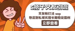 某收费888-S搭子交友引流,交友粉打法 sop,导流到私域实现长期稳定盈利-第一资源库