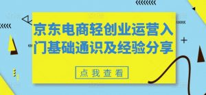 京东电商轻创业运营入门基础通识及经验分享-互联网资源大全网