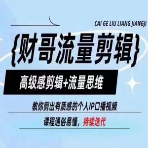 财哥流量剪辑,高级感剪辑+流量思维,教你剪出有质感的个人IP口播视频-互联网资源大全网