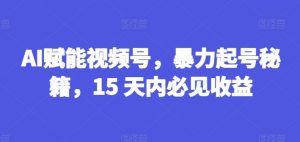 AI赋能视频号，暴力起号秘籍，15 天内必见收益【揭秘】-互联网资源大全网
