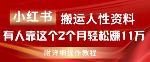 小红书搬运人性资料，有人靠这个2个月轻松赚11w，附教程【揭秘】-互联网资源大全网