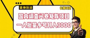 国内调查问卷矩阵项目，一人批量多号月入3000【揭秘】-互联网资源大全网