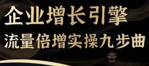 企业增长引擎流量倍增实操九步曲，一套课程帮你找到快速、简单、有效、可复制的获客+变现方式，-互联网资源大全网