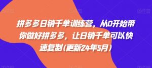 拼多多日销千单训练营,从0开始带你做好拼多多,让日销千单可以快速复制(更新24年7月)-第一资源库