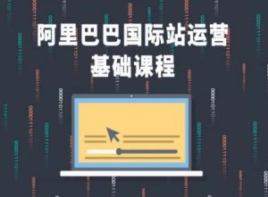 阿里巴巴国际站课程,阿里巴巴国际站运营基础课程-互联网资源大全网