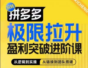 拼多多极限拉升盈利突破进阶课，​从算法到玩法，从玩法到团队搭建，体系化系统性帮助商家实现利润提升-第一资源库