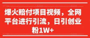爆火赔付项目视频,全网平台进行引流,日引创业粉1W+【揭秘】-第一资源库