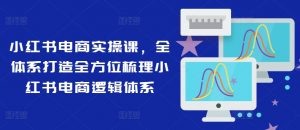 小红书电商实操课,全体系打造全方位梳理小红书电商逻辑体系-互联网资源大全网