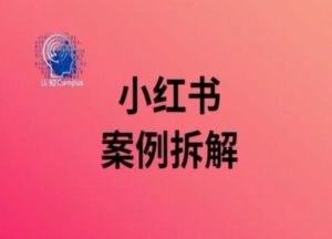 小红书案例拆解，深度解读小红书40万粉-互联网资源大全网