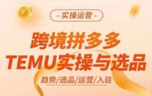 跨境拼多多TEMU实操与选品,多多temu跨境选品运营实操-互联网资源大全网