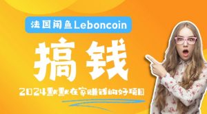 法国闲鱼Leboncoin跨境电商教程：环境邮箱电话解决产品上传及流量，悄悄赚钱【揭秘】-互联网资源大全网