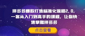 拼多多爆款打造标准化流程2.0,一套从入门到高手的课程,让你快速掌握拼多多-互联网资源大全网
