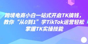 跨境电商小白一站式开启TK搞钱，教你“从0到1”学TikTok运营轻松掌握TK实操技能-互联网资源大全网