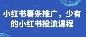 小红书薯条推广,少有的小红书投流课程-互联网资源大全网