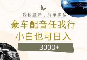 不为人知的暴力小项目,豪车配音,日入几张【揭秘】-互联网资源大全网