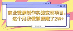 商业微课制作实战变现项目,这个月我做微课赚了2W+-第一资源库