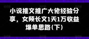 小说推文推广大佬经验分享,女频长文1天1万收益爆单思路(下)-互联网资源大全网