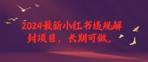2024最新小红书违规解封项目，长期可做，一个可以做到退休的项目【揭秘】-第一资源库