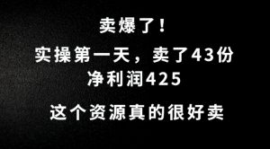 这个资源，需求很大，实操第一天卖了43份，净利润425【揭秘】-互联网资源大全网
