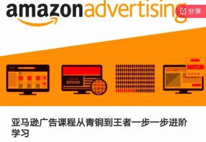 亚马逊广告课程,从青铜到王者一步一步进阶学习(更新9月)-第一资源库