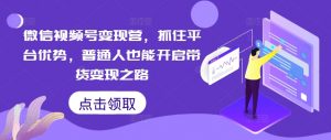 微信视频号变现营，抓住平台优势，普通人也能开启带货变现之路-第一资源库