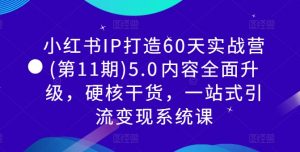 小红书IP打造60天实战营(第11期)5.0内容全面升级,硬核干货,一站式引流变现系统课-互联网资源大全网