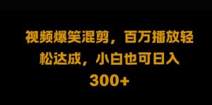 视频号零门槛,爆火视频搬运后二次剪辑,轻松达成日入1k【揭秘】-互联网资源大全网