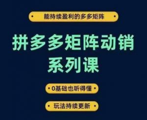 拼多多矩阵动销系列课，能持续盈利的多多矩阵，0基础也听得懂，玩法持续更新-互联网资源大全网