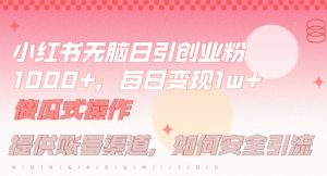 小红书无脑每日引流创业粉500+，小白每天只花半小时，躺赚长尾收益【揭秘】-互联网资源大全网