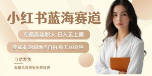 小红书蓝海赛道,圈中高端职场人,月入无上限,可矩阵,内含私域实操教程!-互联网资源大全网