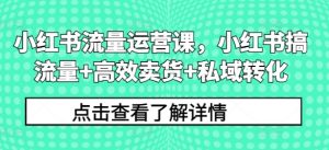 小红书流量运营课，小红书搞流量+高效卖货+私域转化-互联网资源大全网