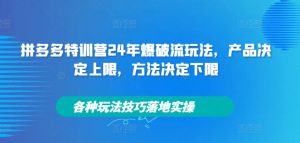 拼多多特训营24年爆破流玩法,产品决定上限,方法决定下限,各种玩法技巧落地实操-互联网资源大全网