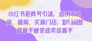 小红书矩阵号引流,适用于电商、微商、实体门店,30天从0基础新手蜕变成卖货高手-第一资源库