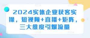 2024实体企业获客实操,短视频+直播+矩阵,三大维度引爆流量-互联网资源大全网