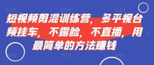 短视频剪混训练营,多平视台频挂车,不露脸,不直播,用最简单的方法赚钱-互联网资源大全网