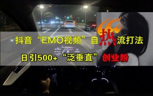 抖音EMO视频自热打法,日引500+“泛垂直”创业粉-互联网资源大全网