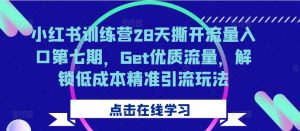 小红书训练营28天撕开流量入口第七期，Get优质流量，解锁低成本精准引流玩法-互联网资源大全网