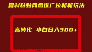 复制粘贴网盘推广拉新新玩法高转化小白日入300+【揭秘】-互联网资源大全网