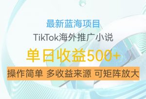最新蓝海项目，利用tiktok海外推广小说赚钱佣金，简单易学，日入500+，可矩阵放大【揭秘】-互联网资源大全网