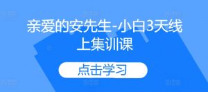 亲爱的安先生-小白3天线上集训课-互联网资源大全网
