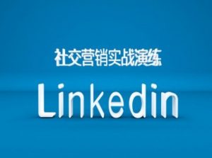 社交营销实战演练之Linkedin营销课程,B2B跨境外贸的新出路-互联网资源大全网
