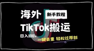 2024最新海外TikTok搬运玩法,一键去重轻松过原创,新手无经验也能日入1k【揭秘】-互联网资源大全网