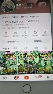 最新抖音暴力起万粉技术,一天涨万粉,发三四个作品涨近万粉-第一资源库