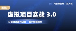 虚拟项目实战3.0，打造自动盈利店铺，可长期操作投入低，新手也能操作-第一资源库