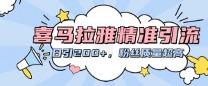 喜马拉雅精准引流,日引200+粉丝质量超高-互联网资源大全网
