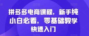 拼多多电商课程,新手纯小白必看,零基础教学快速入门-互联网资源大全网