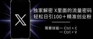 独家解密 X 里面的流量密码，复制粘贴轻松日引100+-第一资源库