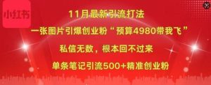 小红书11月最新图片打粉,一张图片引爆创业粉,“预算4980带我飞”,单条引流500+精准创业粉-互联网资源大全网