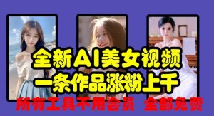 全新AI美女视频,一条作品涨粉上千,所有工具不用会员,全部免费-互联网资源大全网